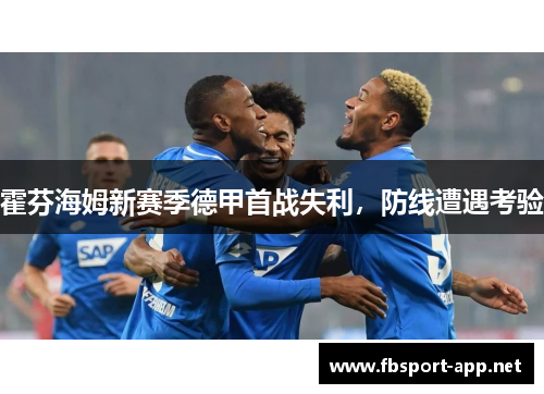 霍芬海姆新赛季德甲首战失利，防线遭遇考验